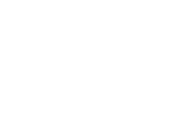 transparent.png
