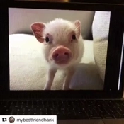 1744821099951.webm